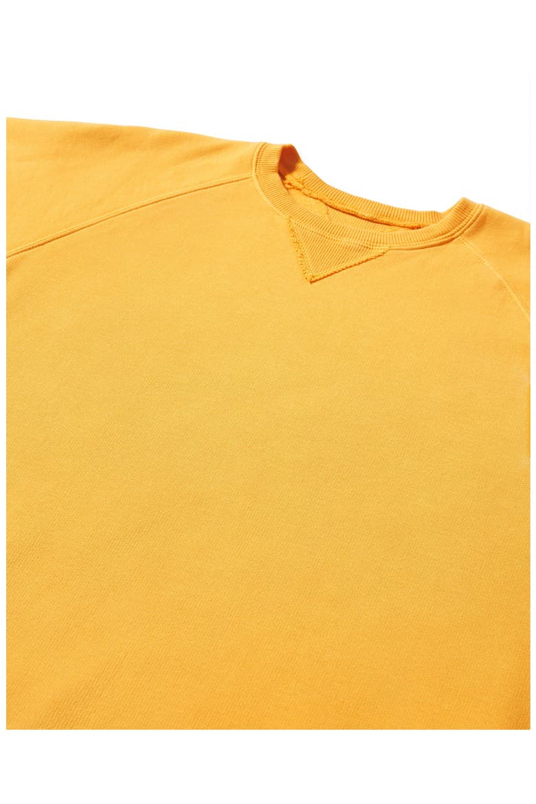 Harvard Fleece Jersey Raglan Sleeve Sweatshirt, Alternate, color, YELLOW