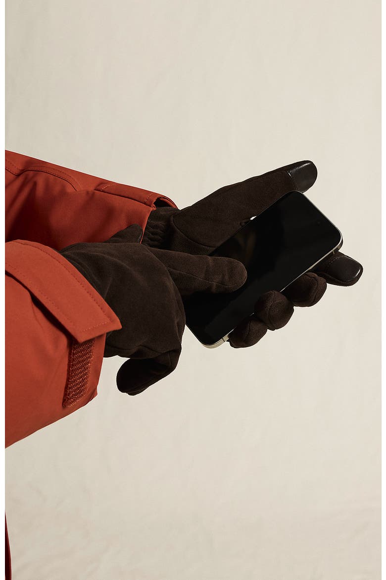 EZ Touch Suede Gloves, Alternate, color, Rich Coffee