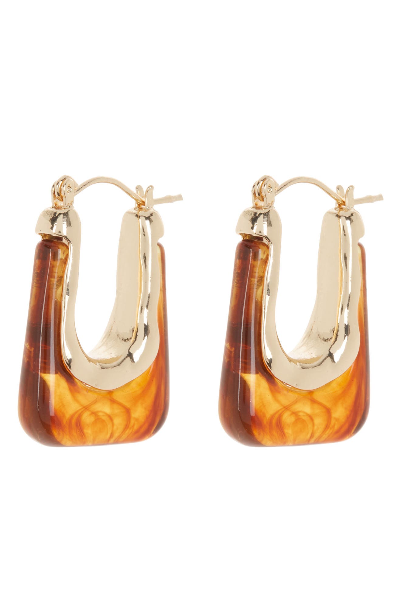 Tasha Resin Oval Hoop Earrings
