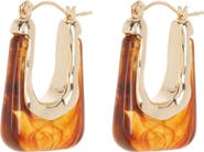 Tasha Resin Oval Hoop Earrings