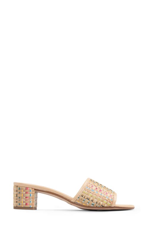 Patricia Green Harper Raffia Slide Sandal In Rainbow Raffia