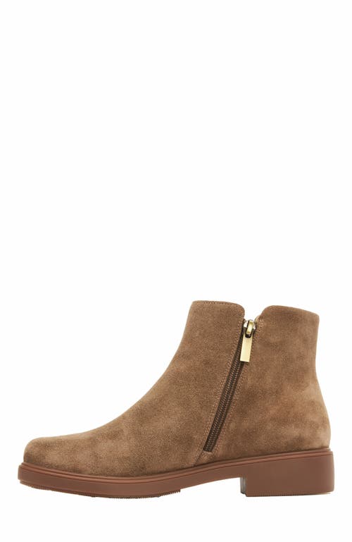 Abeo Compass Zip Boot In Brown