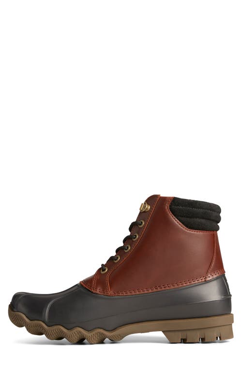 Sperry Avenue Duck Boot In Multi