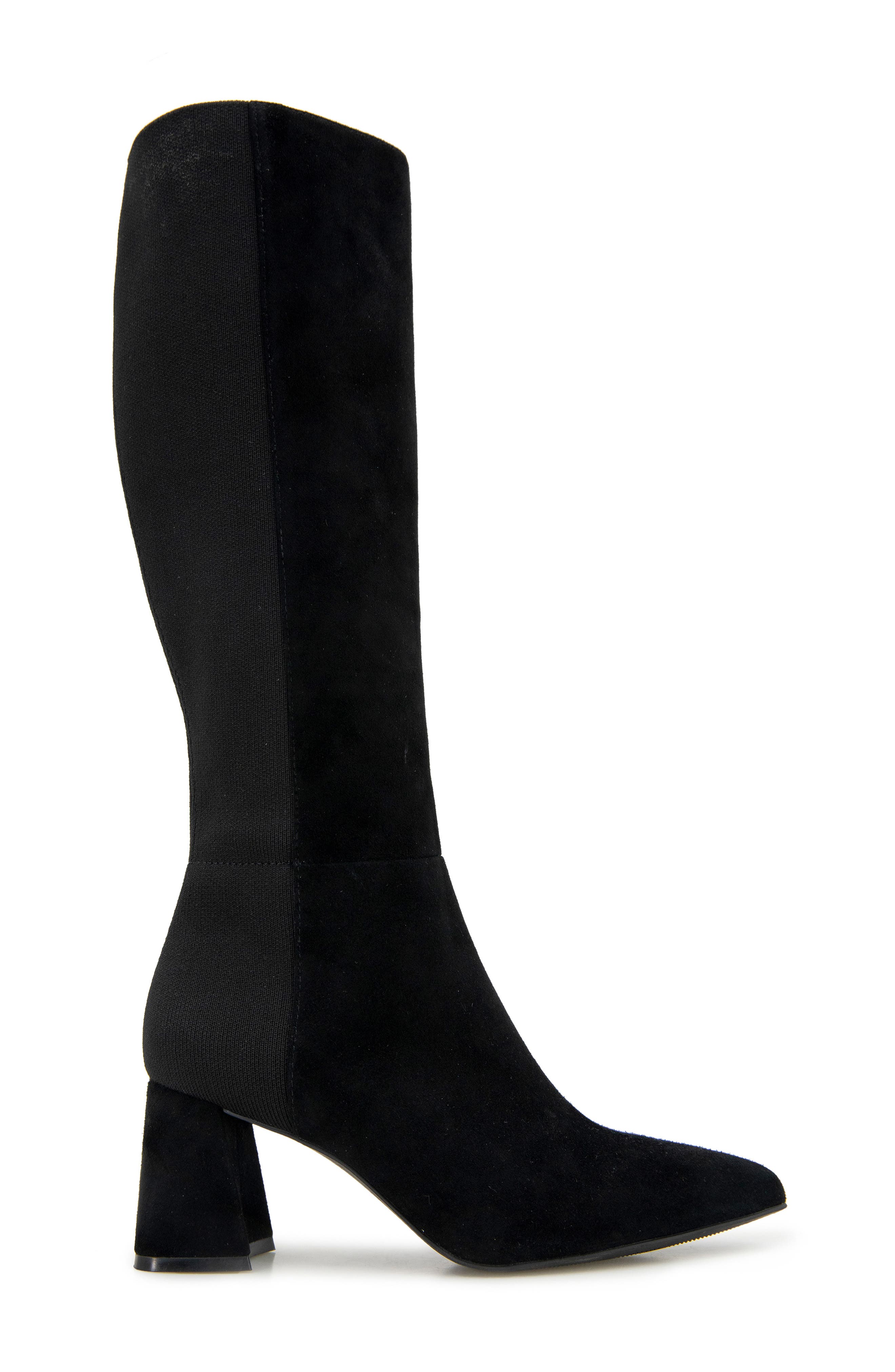Gentle Souls Dionne Pointed Toe Knee High Boot, Alternate, color, 