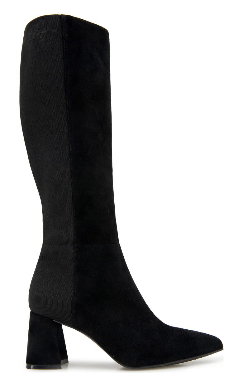 Gentle Souls Dionne Pointed Toe Knee High Boot, Alternate, color, Black Suede