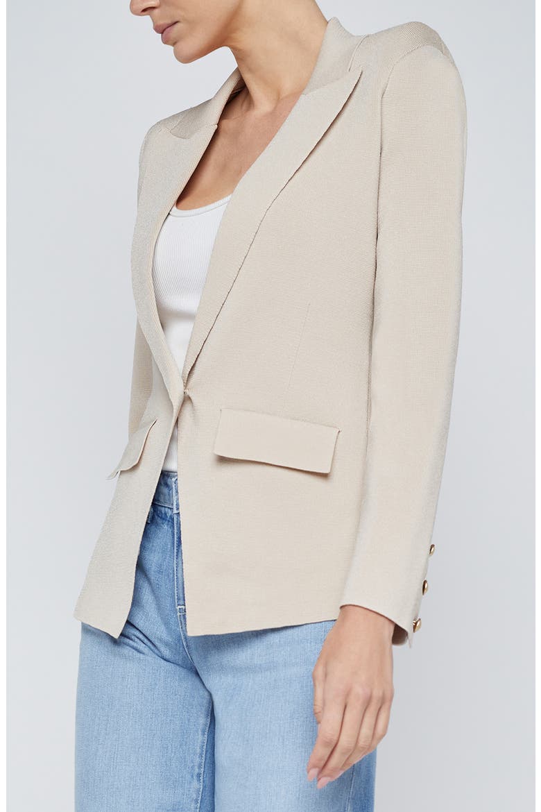 Chamberlain Knit Blazer, Alternate, color, IVORY/ GOLD
