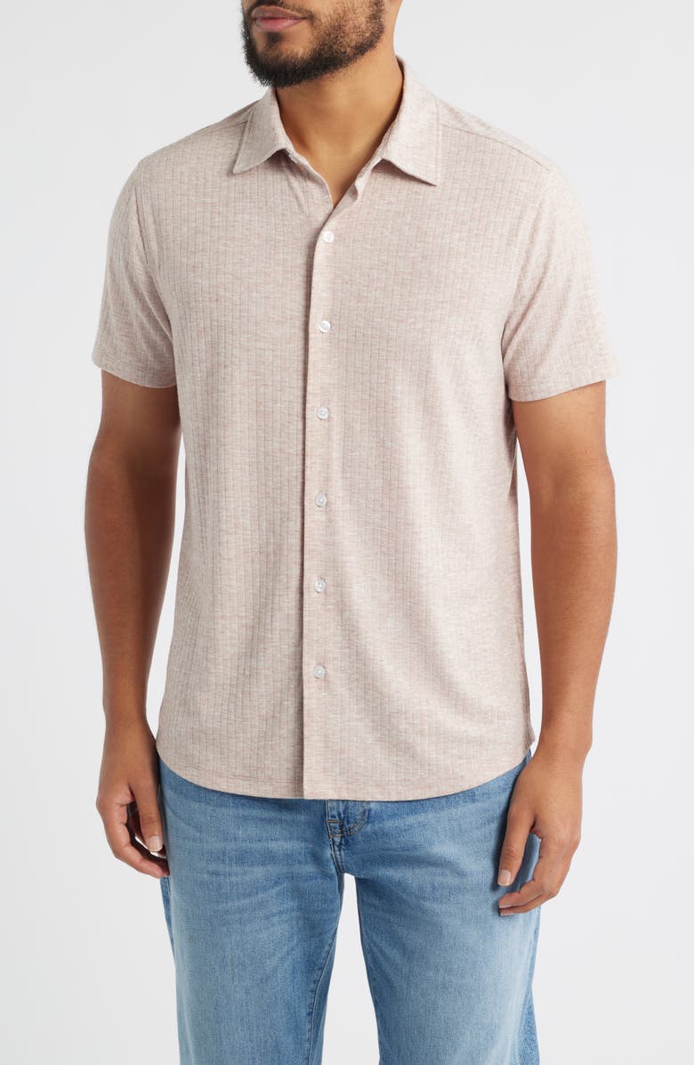 Robert Barakett Anton Knit Button-Up Polo, Main, color, Shadow Coral