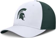 Nike Men's Nike White/Green Michigan State Spartans 2025 Sideline Rise Local Performance Flex Hat