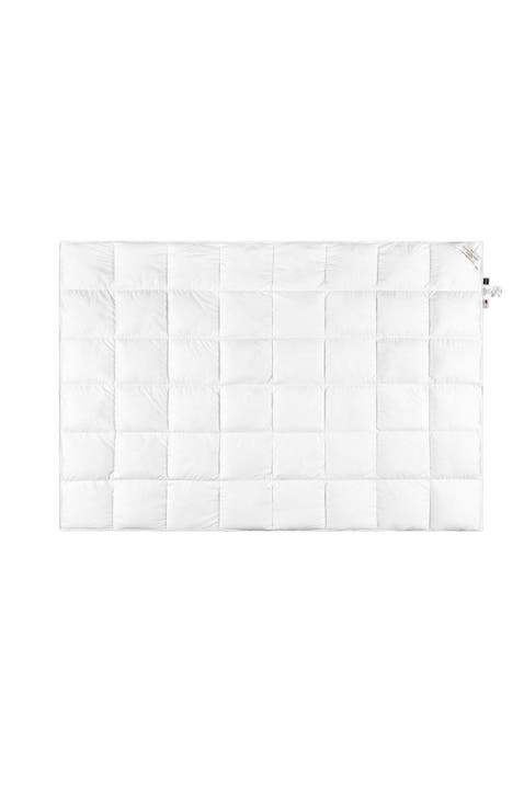 Kaiser Mazurian goose down comforter