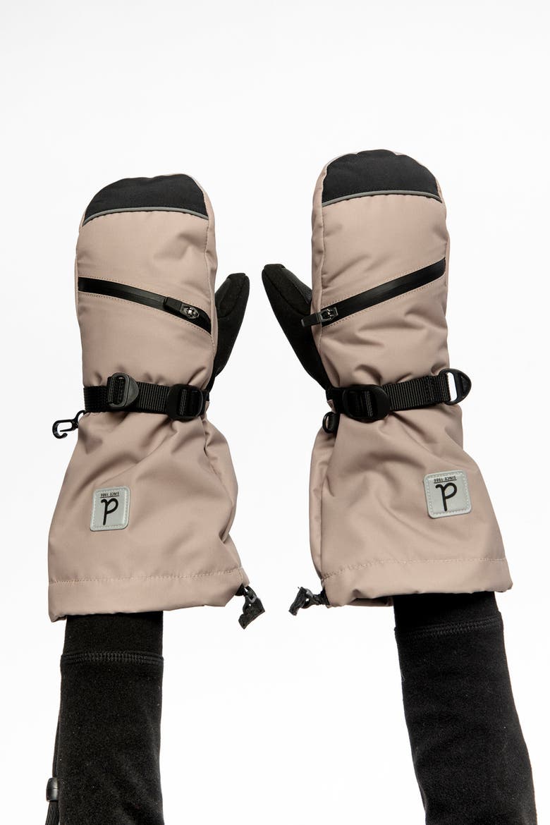 Waterproof Teknik Cordura Winter Mittens, Alternate, color, Taupe