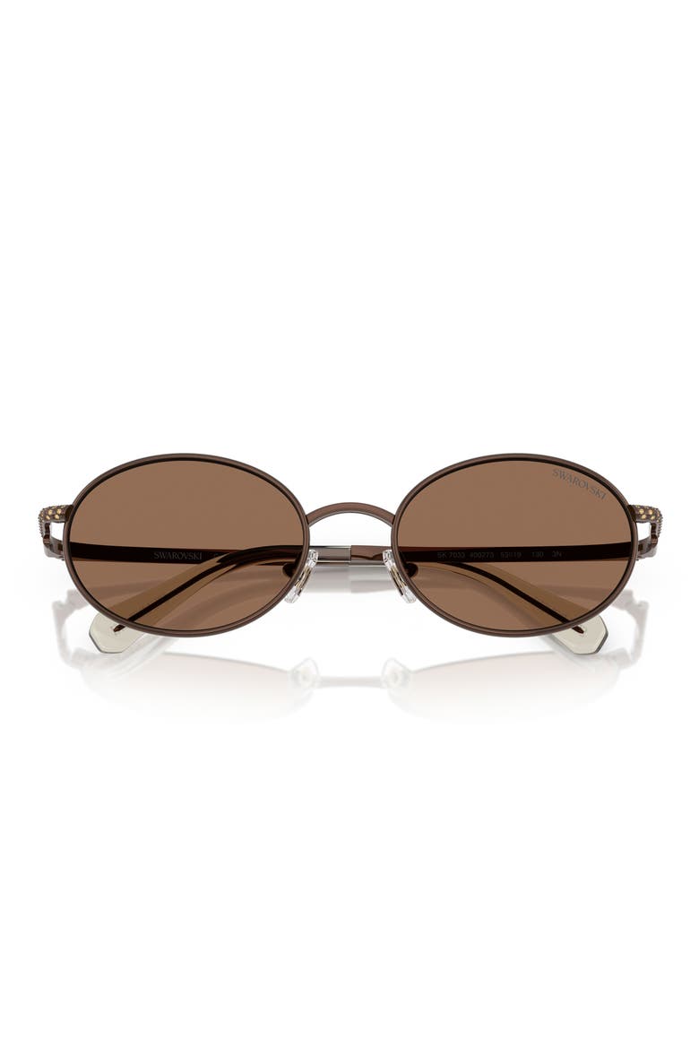 53mm Oval Sunglasses, Alternate, color, BROWN / DARK BROWN