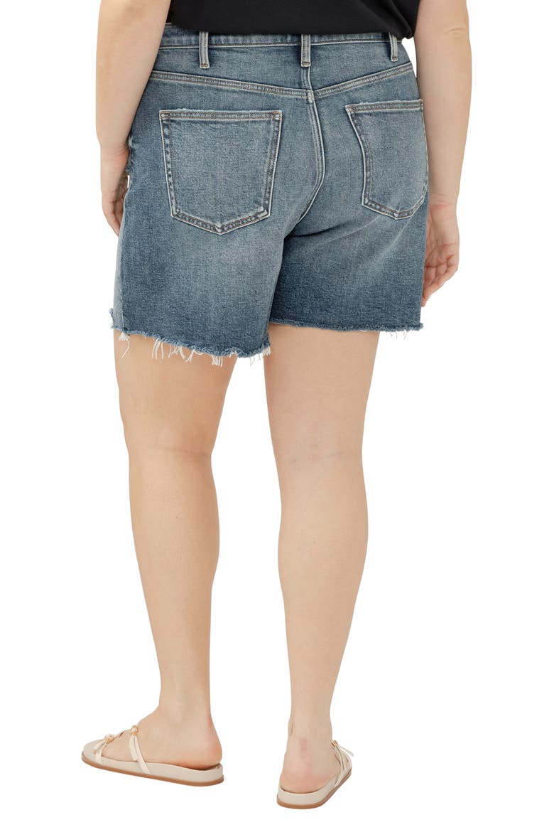 Highly Desirable High Waist Raw Hem Denim Shorts, Alternate, color, INDIGO