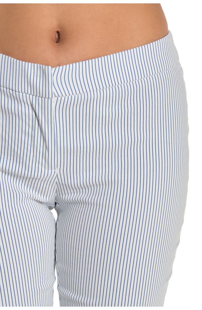 Amanda & Chelsea Amanda Seersucker Ankle Pants, Alternate, color, Blu/Wht