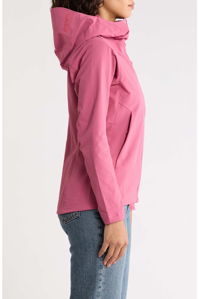 Gamma Performance Hoody, Alternate, color, RENEGADE