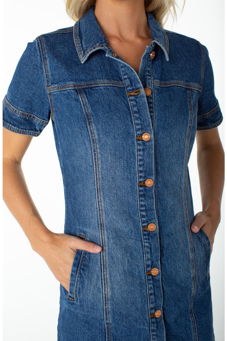 Dusk After Dark Button-Up Minidress, Alternate, color, MIRAGE BLUE