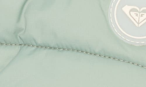 Roxy Chloe Kim Water Repellent Ski Mittens In Green