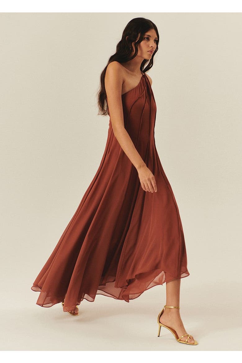 Paislee Maxi Dress, Alternate, color, BROWN