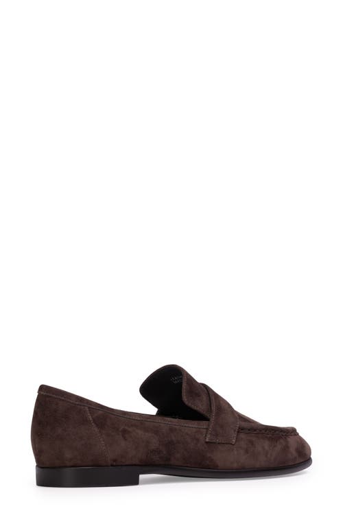 Black Suede Studio Arrow Loafer In Hot Fudge Suede