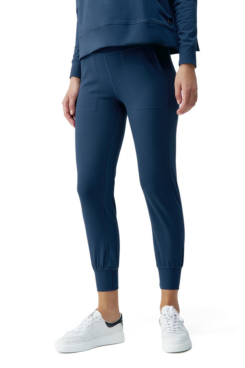 Daba Performance Sport Jogger, Alternate, color, Sailor Blue