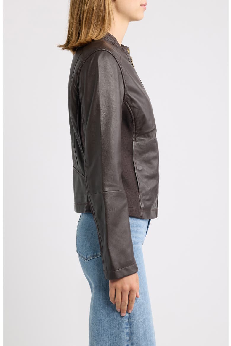 Leather Jacket, Alternate, color, DARK BROWN