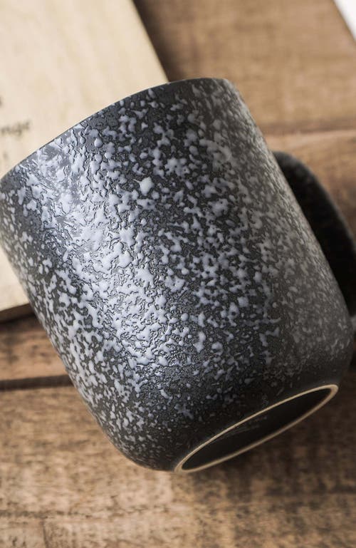 Stone Lain Tom Stoneware 4-piece Mug Set In Black