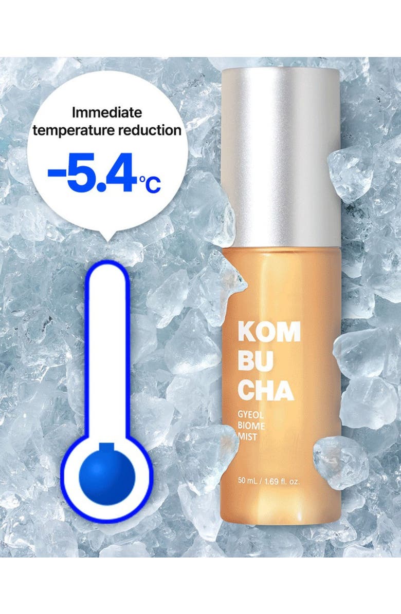 Siia Cosmetics Kombucha Gyeol-Biome Mist, Alternate, color, NO COLOR