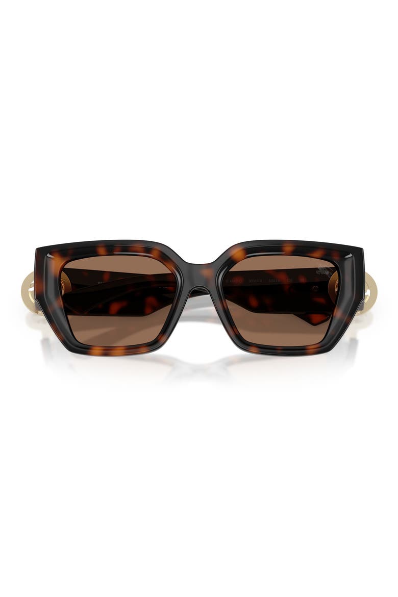 53mm Square Sunglasses, Alternate, color, DARK HAVANA / DARK BROWN
