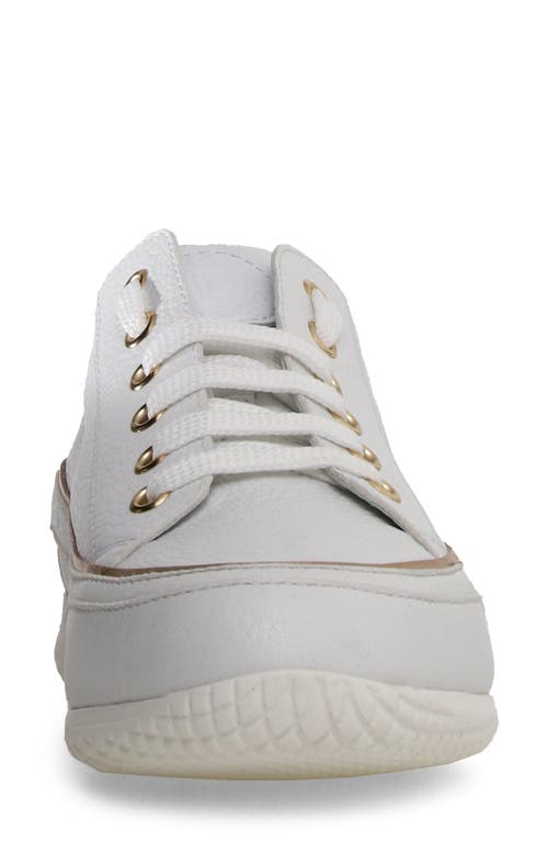 Candice Cooper Janis Strip Sneaker In White
