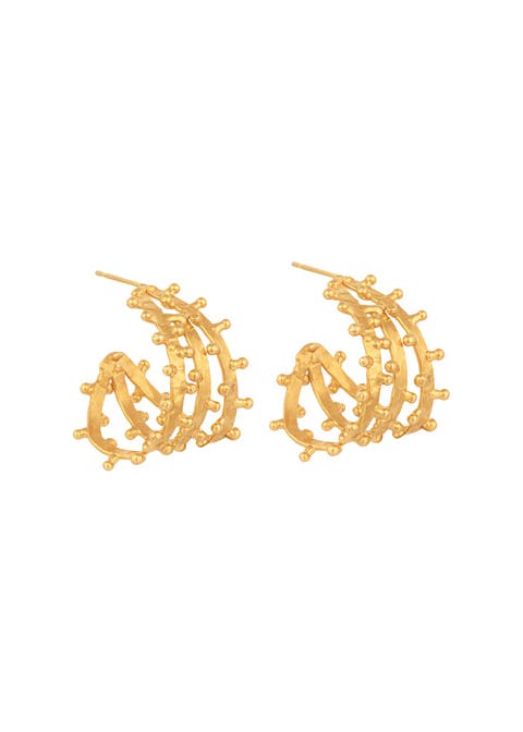 Gold Hoops Earrings