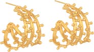 SYLVIA TOLEDANO Gold Hoops Earrings