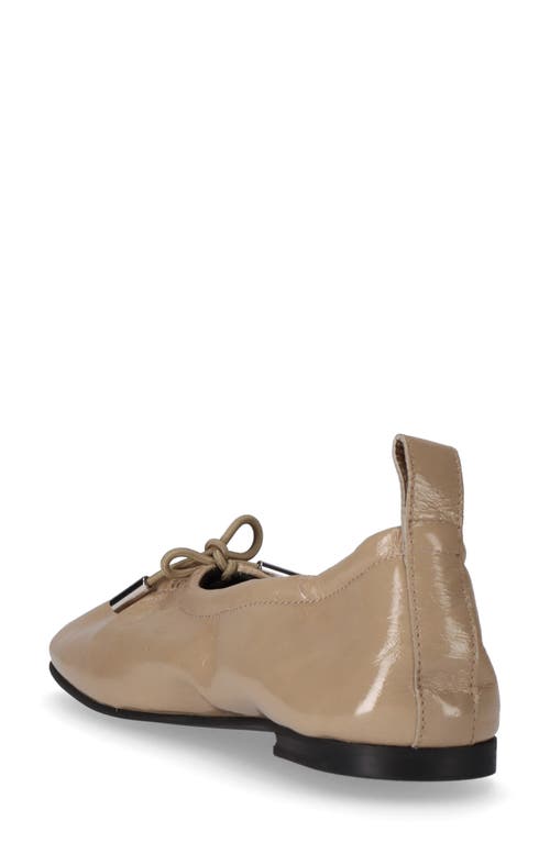 Alohas Rosalind Ballet Flat In Brown