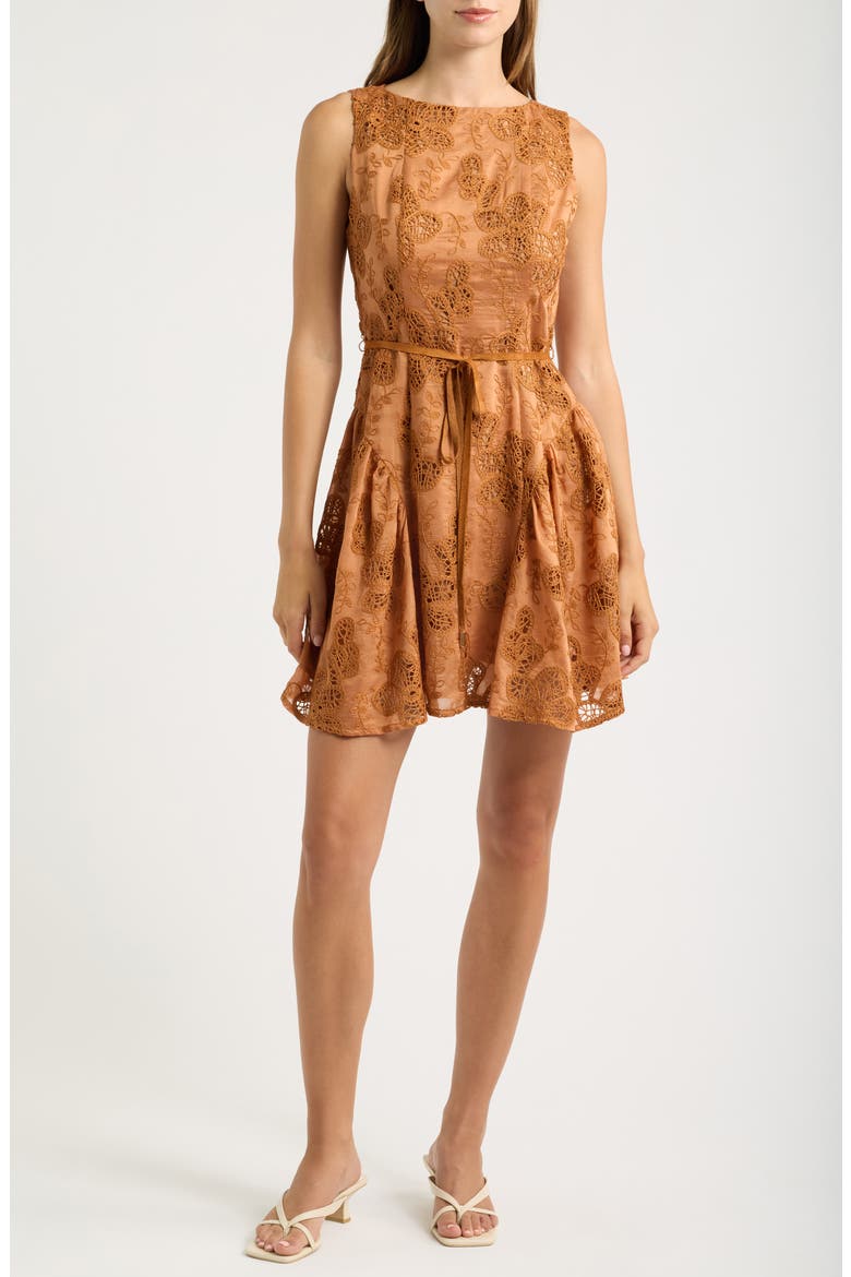 Embroidered Sleeveless Minidress, Main, color, RUST