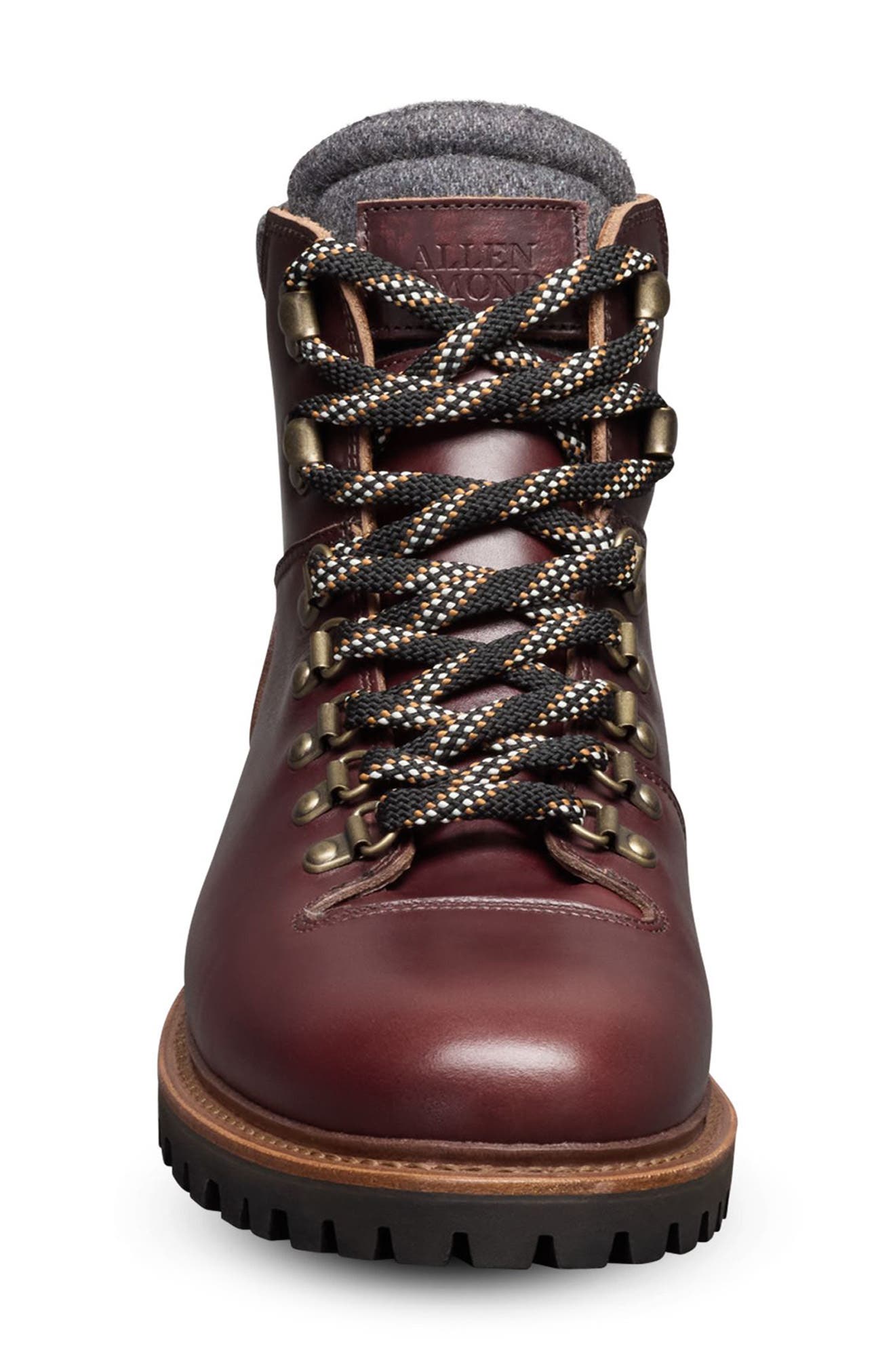 Allen Edmonds Whistler Waterproof Hiker Boot, Alternate, color, Burgundy
