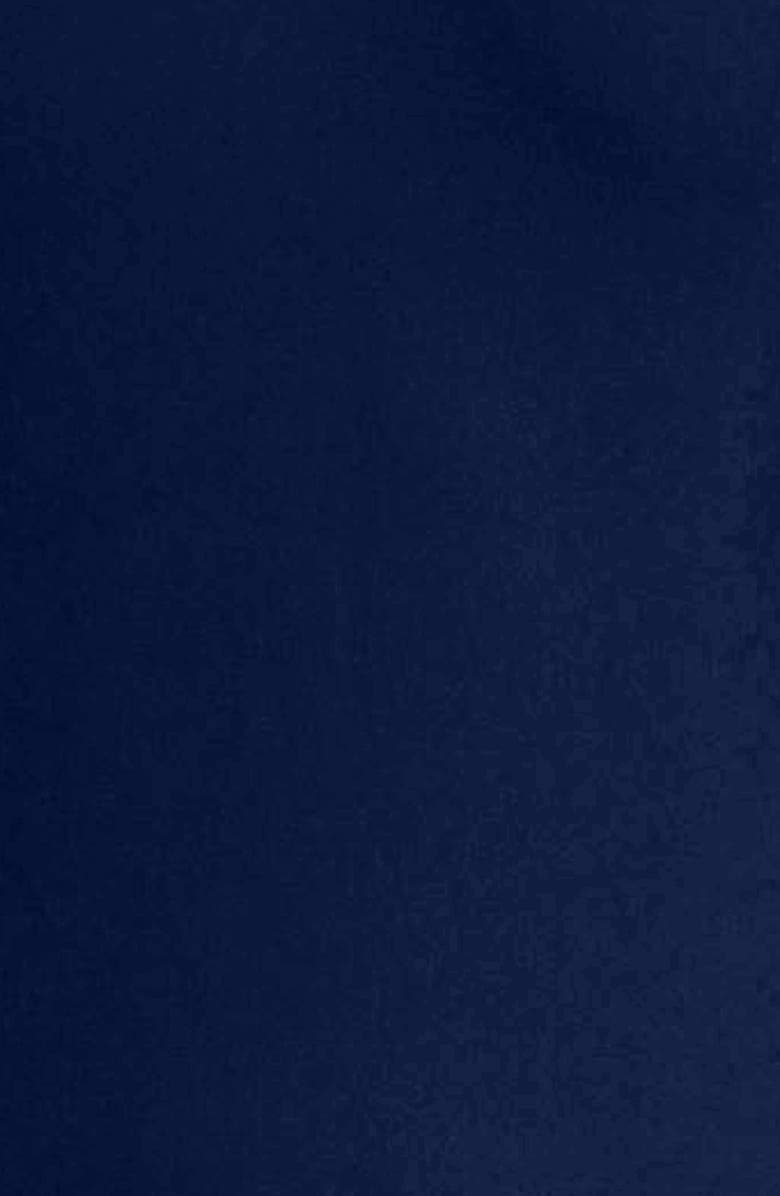 Badgley Mischka Collection Odessa Pleat Cocktail Dress, Alternate, color,