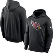Nike Men's Nike Black Arizona Cardinals Fan Gear Primary Logo Therma Performance Pullover Hoodie