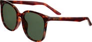 BERTHA Avery Polarized Sunglasses