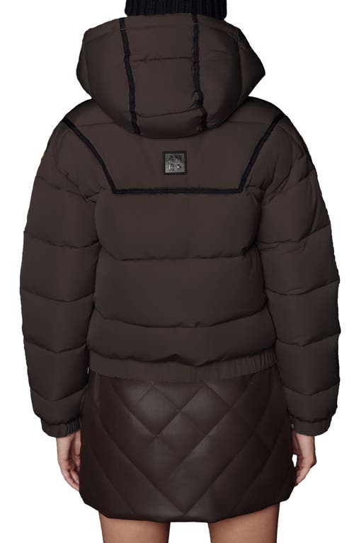 Alp N Rock Whitney Puffer Jacket In Brown
