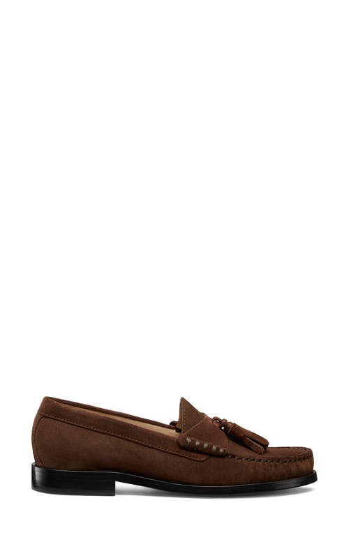 Stuart Weitzman Lottie Tassel Loafer In Brown