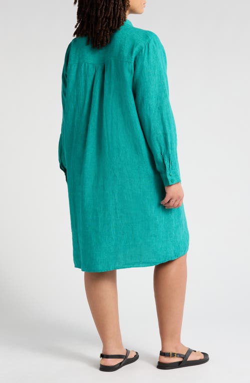 Eileen Fisher Band Collar Long Sleeve Organic Linen Shift Dress In Green