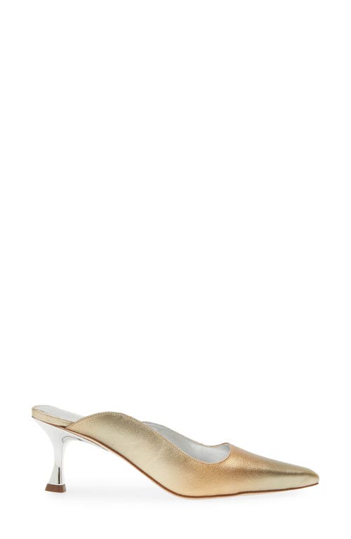 Kaanas Alma Asymmetric Pointed Toe Mule In Multi