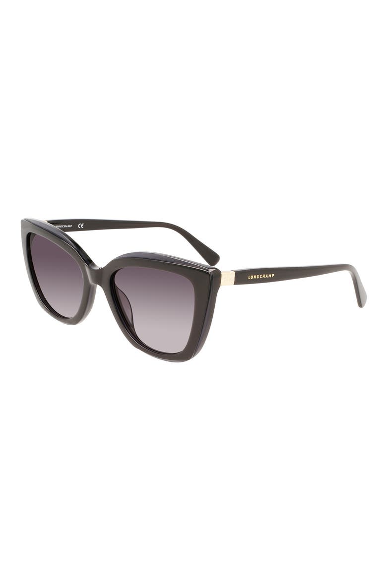 Le Pilage 54mm Rectangular Sunglasses, Alternate, color, BLACK