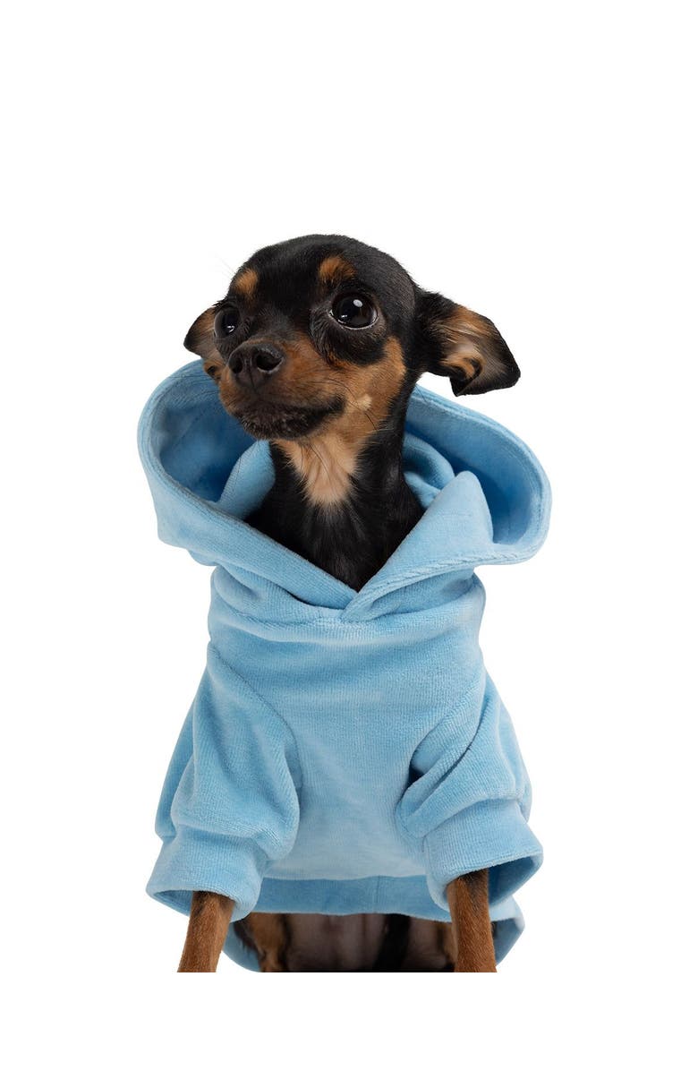 Moshiqa Cute But Psycho Dog Hoodie, Alternate, color, Blue