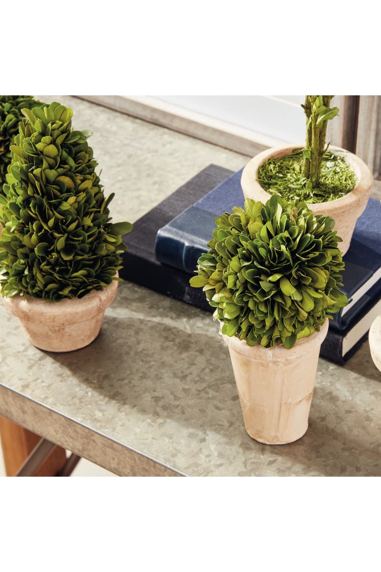 Boxwood Topiaries Faux (Fake) In Pots Set of 5, Alternate, color, Green