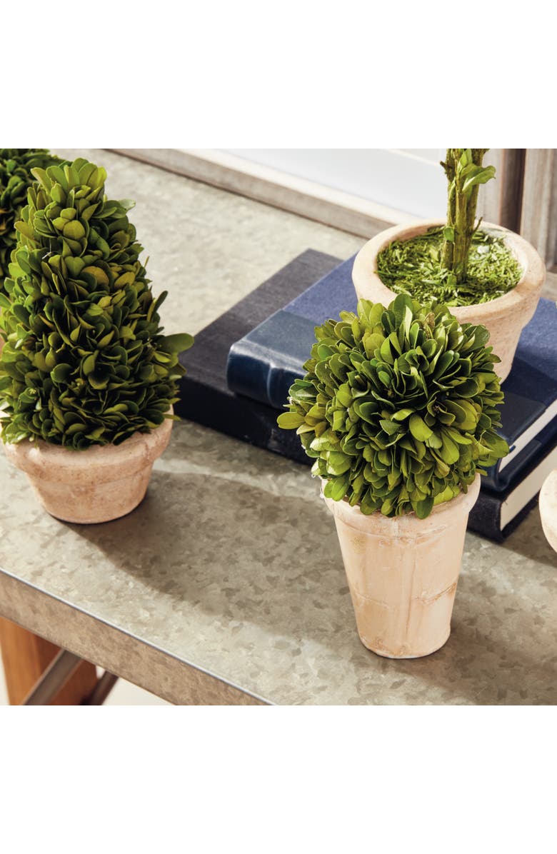 Napa Home & Garden Boxwood Topiaries Faux (Fake) In Pots Set of 5, Alternate, color,