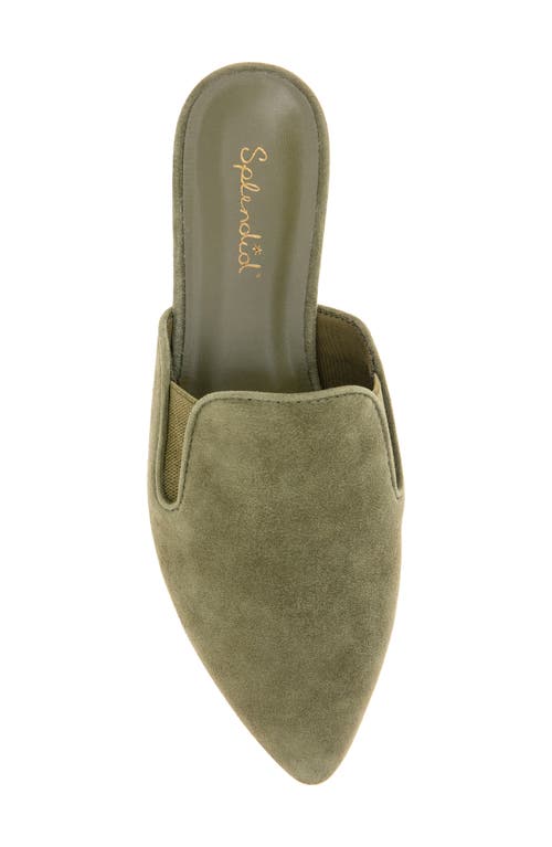 Splendid Liza Mule In Green
