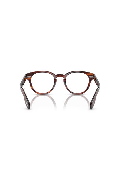 Oliver Peoples 50mm Round Optical Glasses In Brown