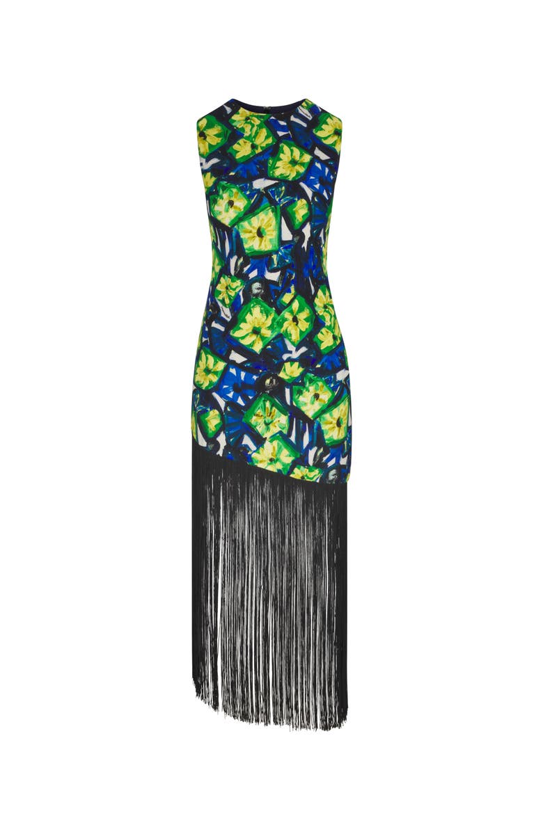 SIMONMILLER Casablanca Fringe Dress, Main, color, Abstract Floral