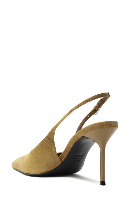 Schutz Alicia Pointed Toe Slingback Pump