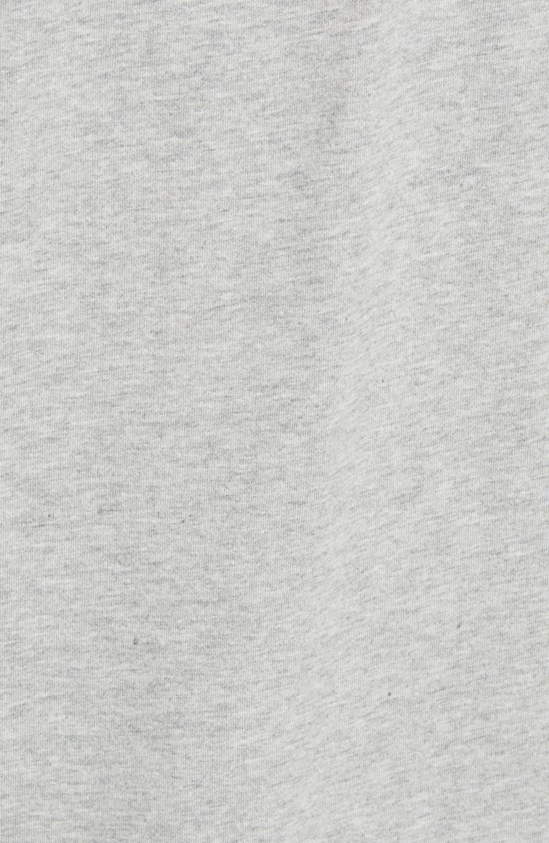 Polo Ralph Lauren Polo Sport T-Shirt, Alternate, color, 