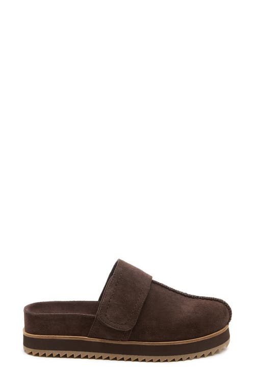 Kelsi Dagger Brooklyn Fig Platform Mule In Brown